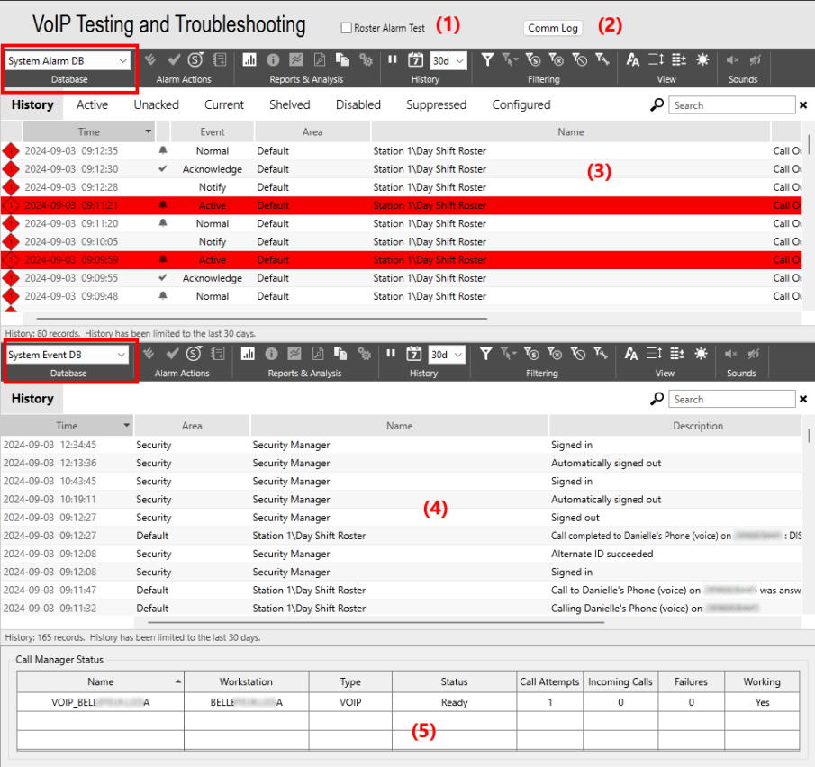 VoIP Testing and Troubleshooting Page Example
